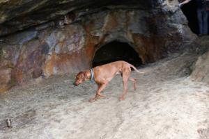 2018 Ausbildungswoche Arber